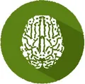Icona cervello